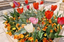 Ямбол - великденска украса