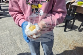 Видин - площад „Бдинци“ - Велики четвъртък - боядисване на яйца