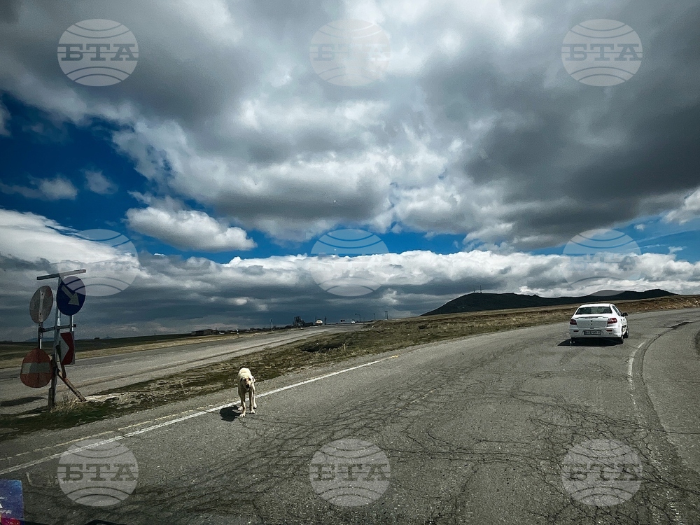Iran Road Trip