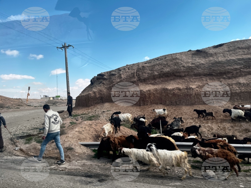 Iran Road Trip