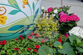 Враца - флорални фигури