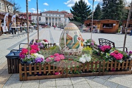 Враца - флорални фигури