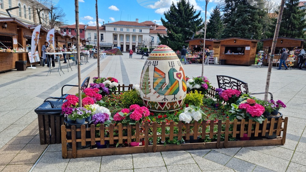 Враца - флорални фигури