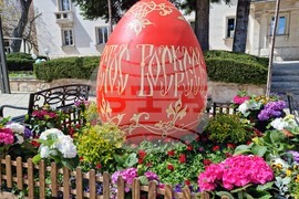 Враца - флорални фигури