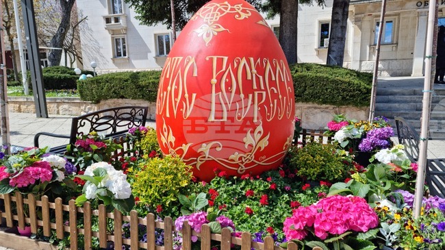 Враца - флорални фигури