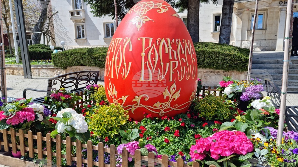 Враца - флорални фигури