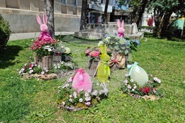 Враца - флорални фигури