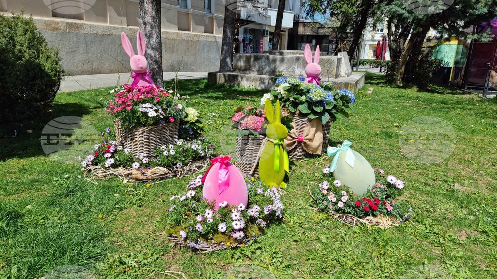 Враца - флорални фигури