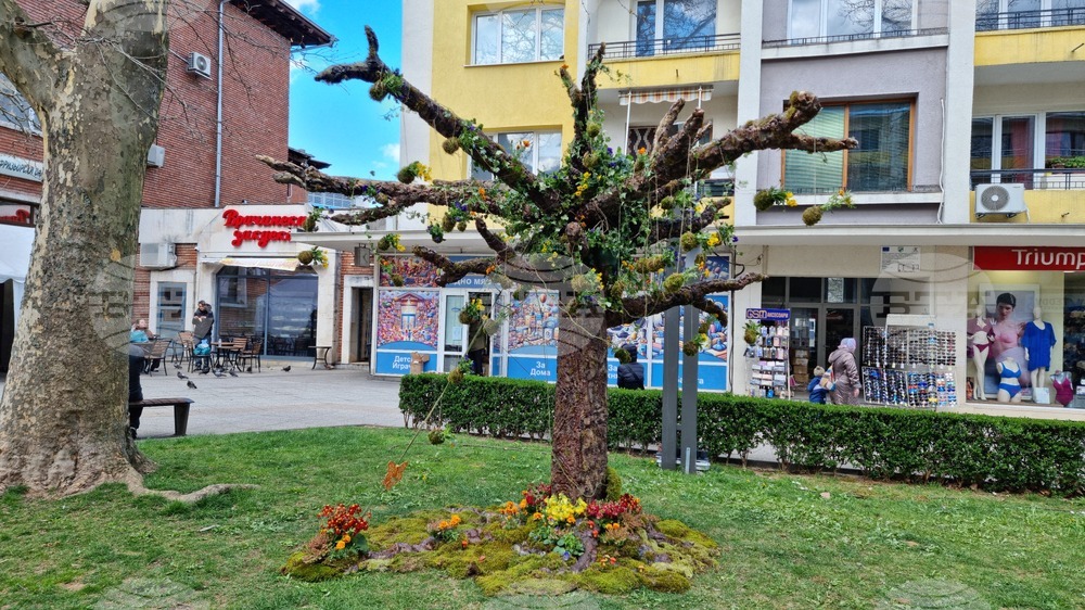 Враца - флорални фигури