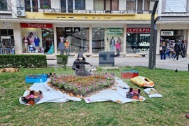 Враца - флорални фигури