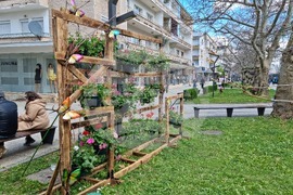 Враца - флорални фигури