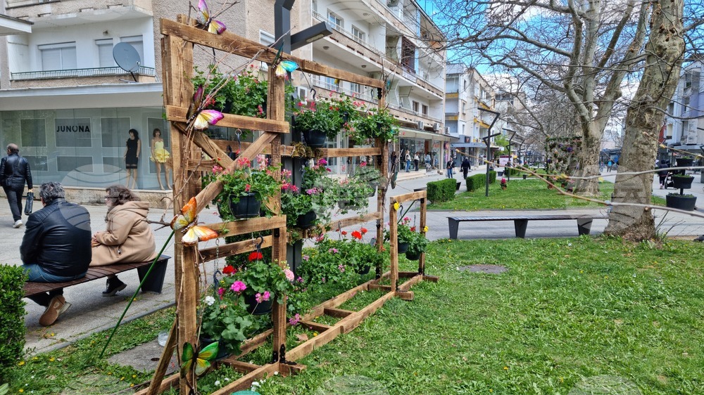 Враца - флорални фигури