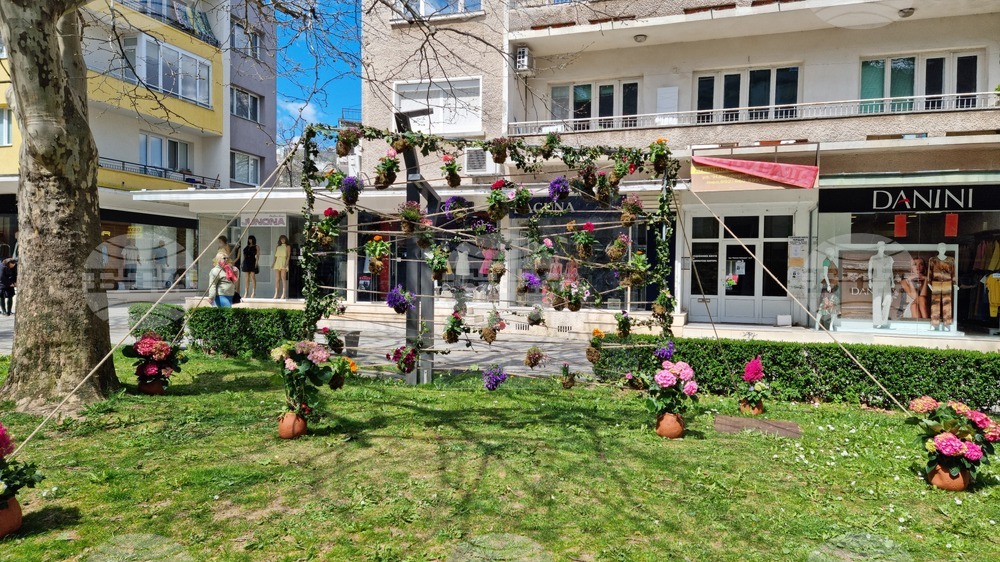 Враца - флорални фигури