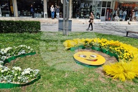 Враца - флорални фигури