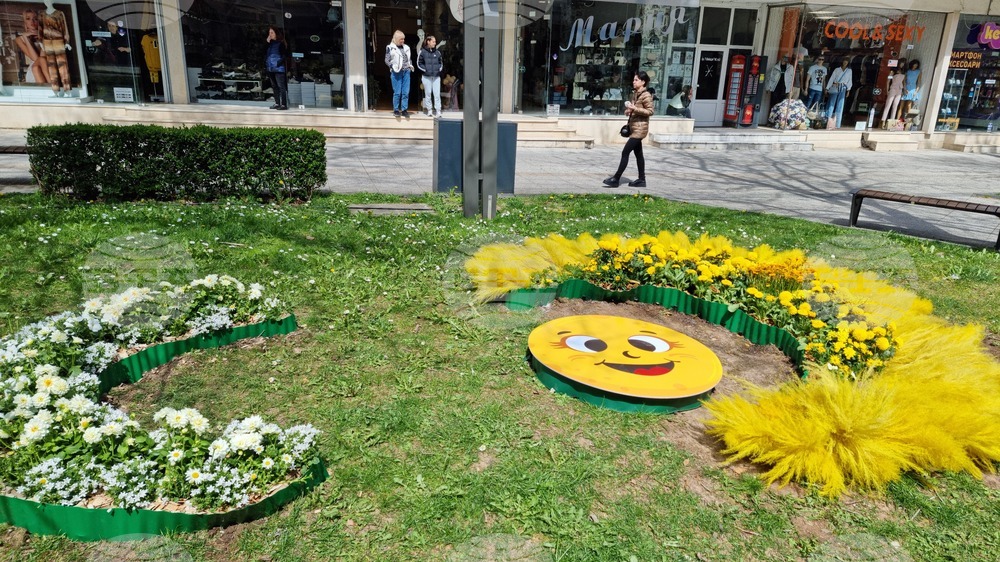 Враца - флорални фигури