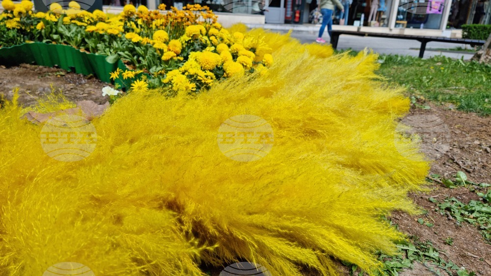 Враца - флорални фигури