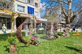 Враца - флорални фигури