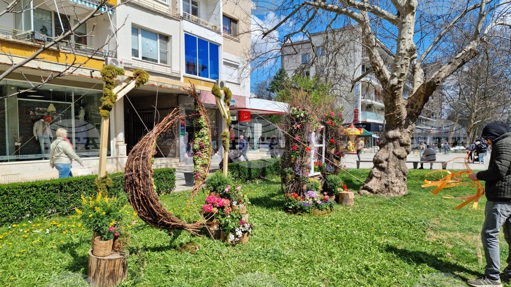 Враца - флорални фигури