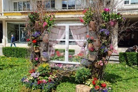 Враца - флорални фигури