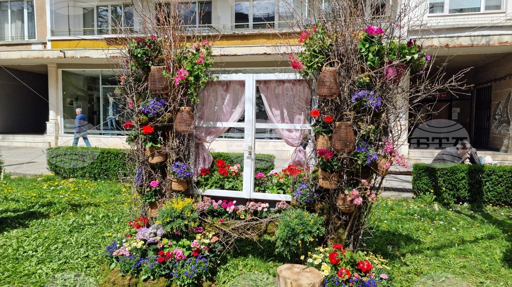 Враца - флорални фигури