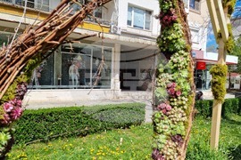 Враца - флорални фигури