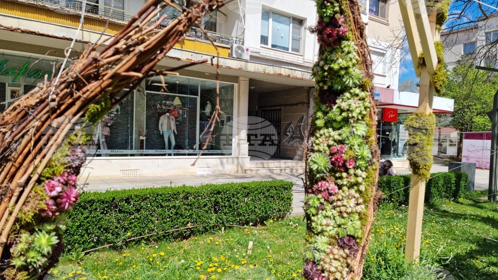 Враца - флорални фигури