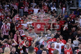 Баскетбол - Евролига - Апоел Тел Авив - Олимпиакос