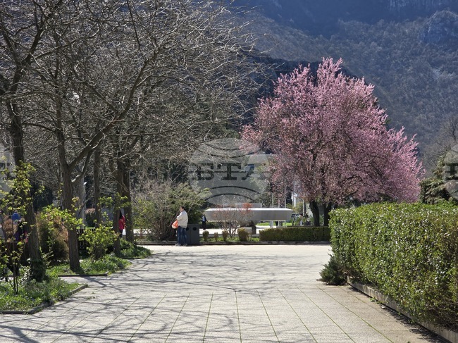 Какви прояви имаха днес кандидатите за народни представители в 6-и МИР-Враца