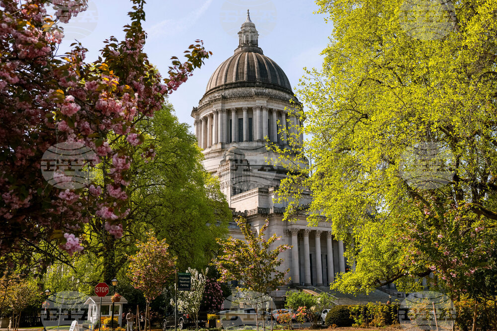 Washington Family Court Investigators