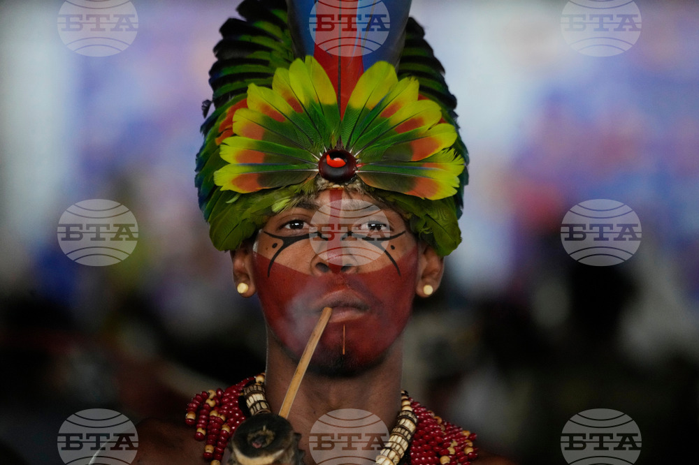 Brazil Indigenous