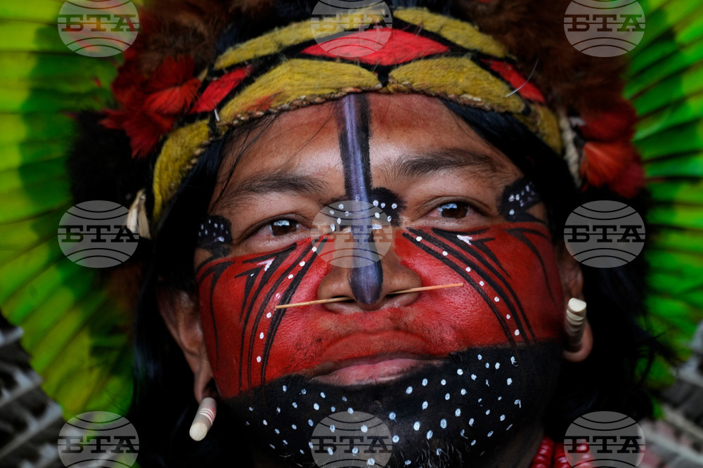 Brazil Indigenous