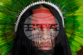 Brazil Indigenous