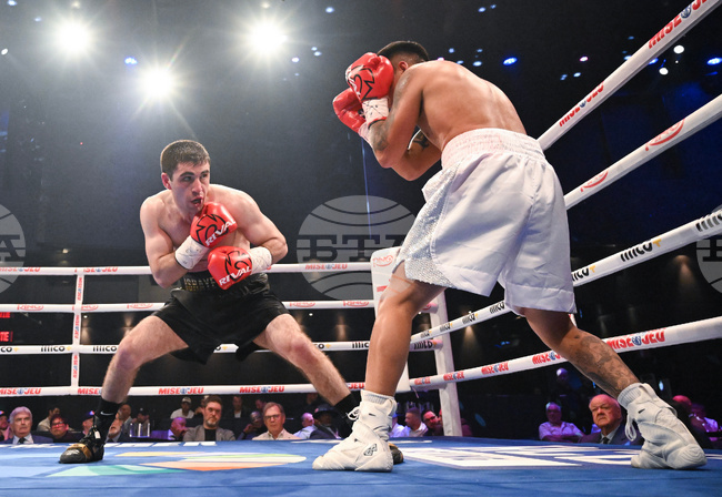 Israyelyan Filgueira Boxing