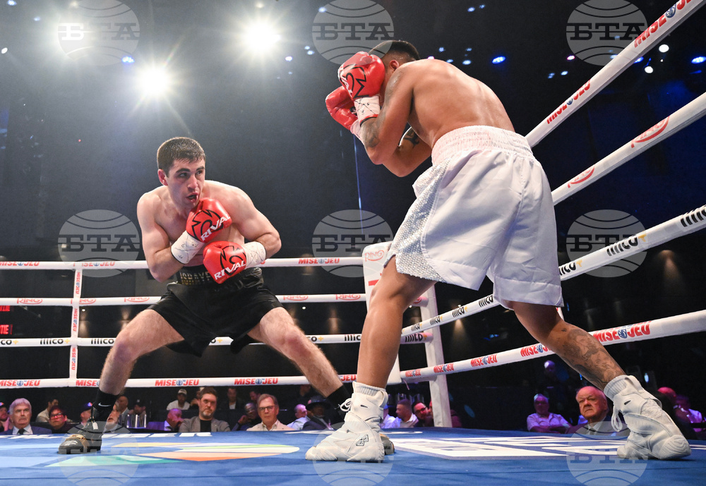 Israyelyan Filgueira Boxing