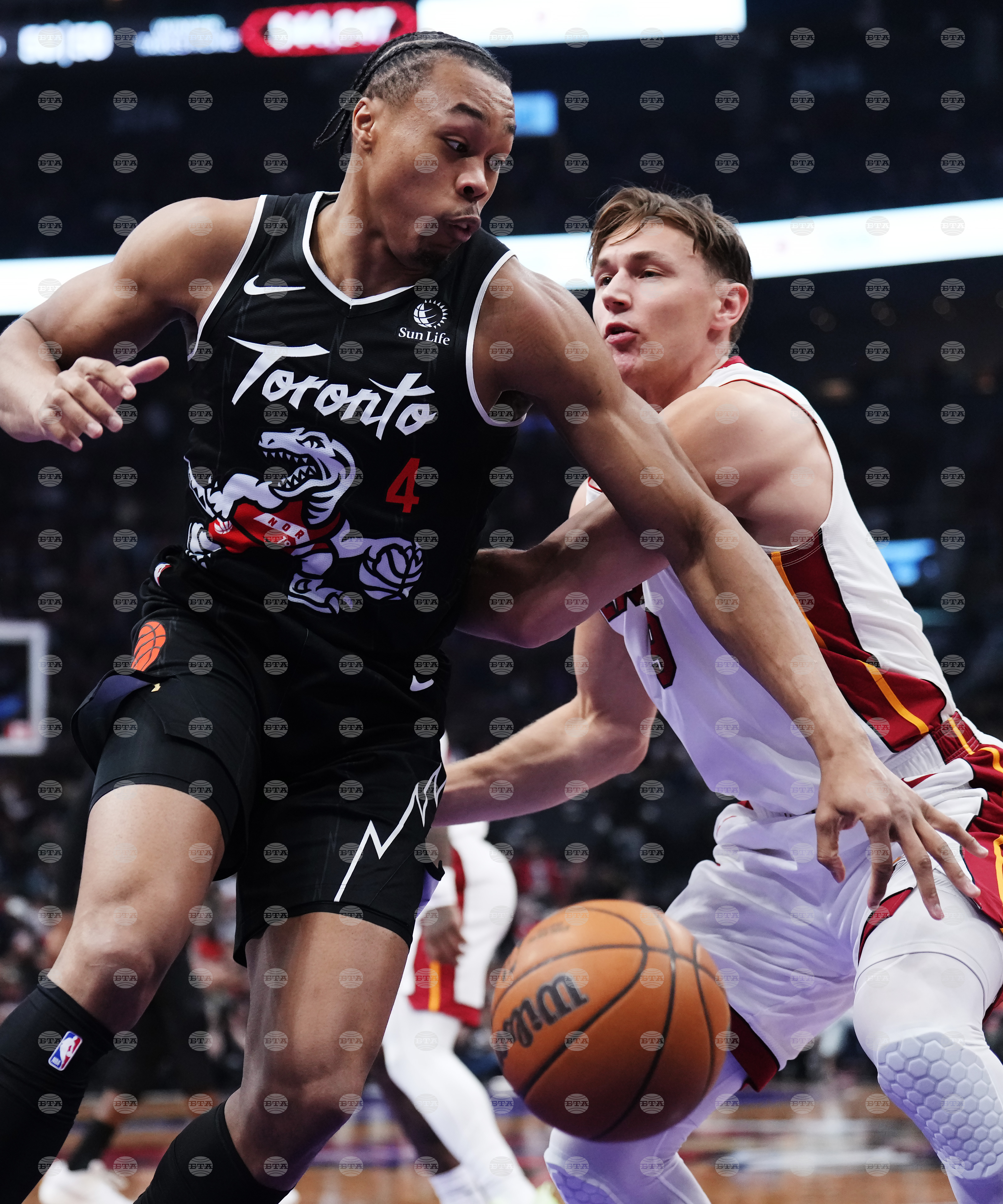 Heat Raptors Basketball