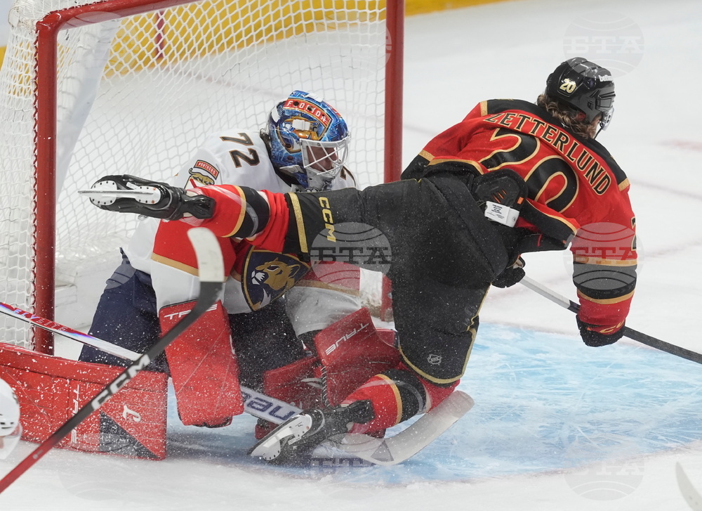 Panthers Senators Hockey