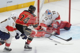 Panthers Senators Hockey