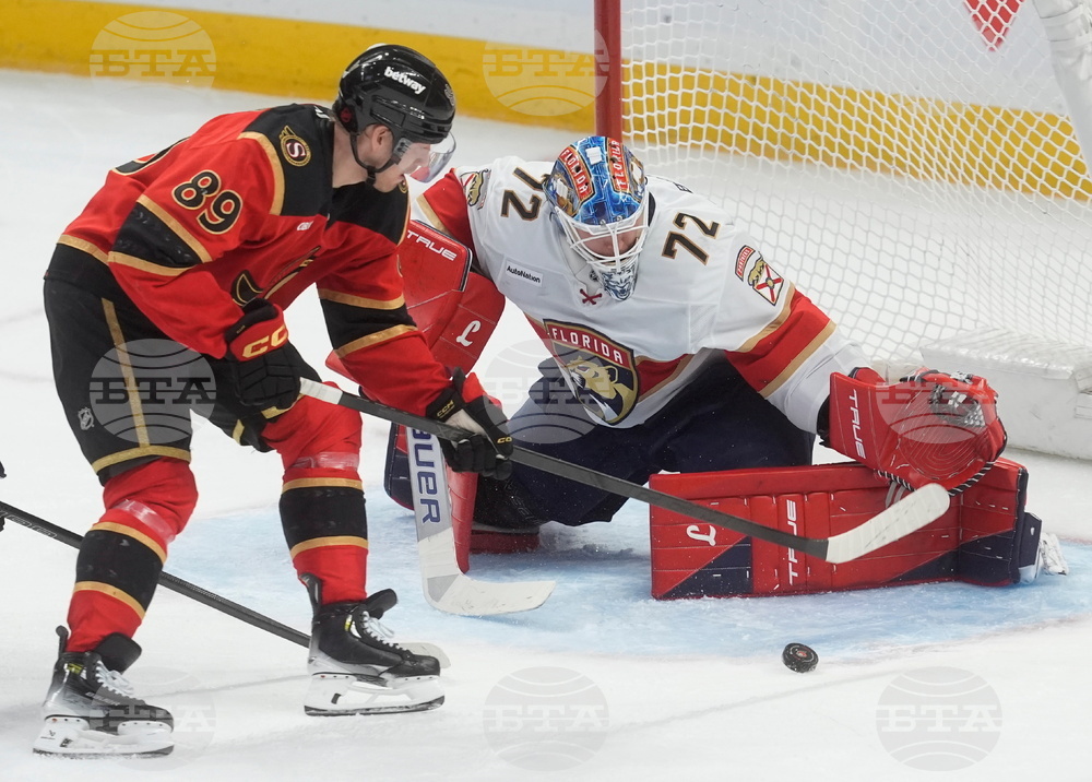 Panthers Senators Hockey