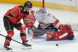 Panthers Senators Hockey