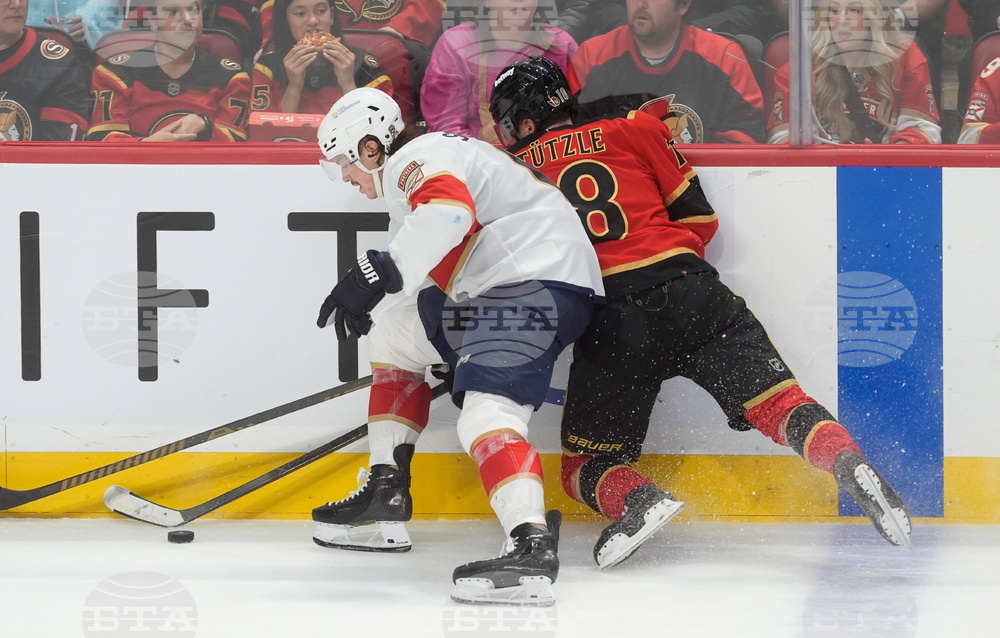 Panthers Senators Hockey