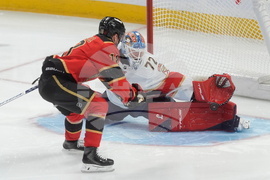 Panthers Senators Hockey