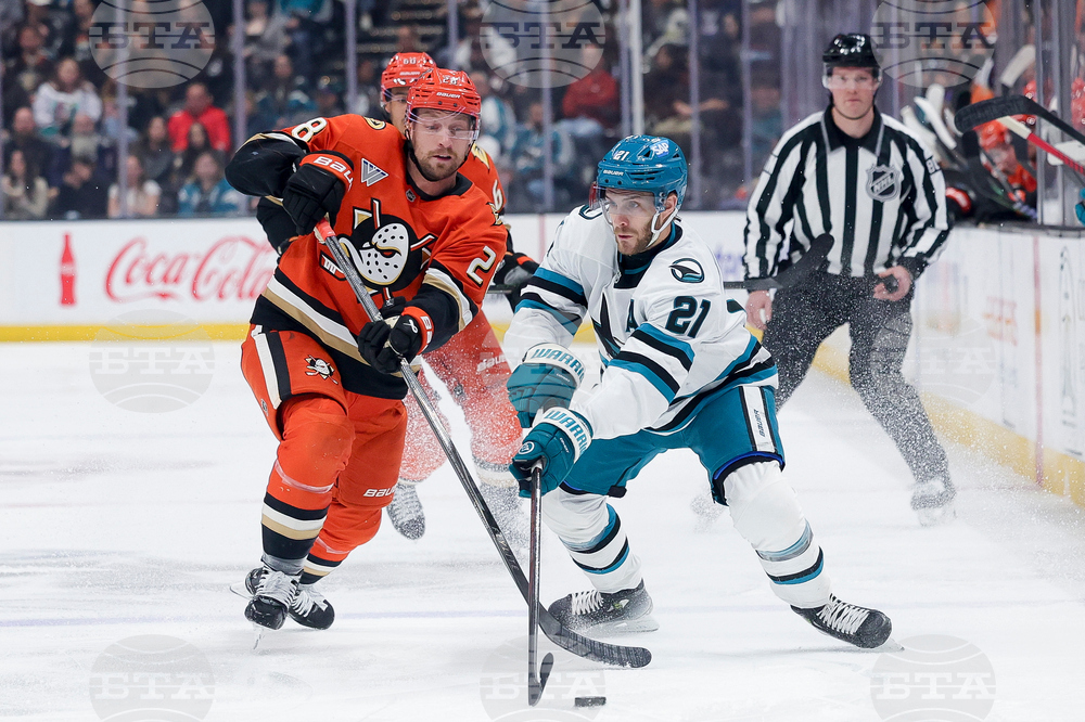 Sharks Ducks Hockey