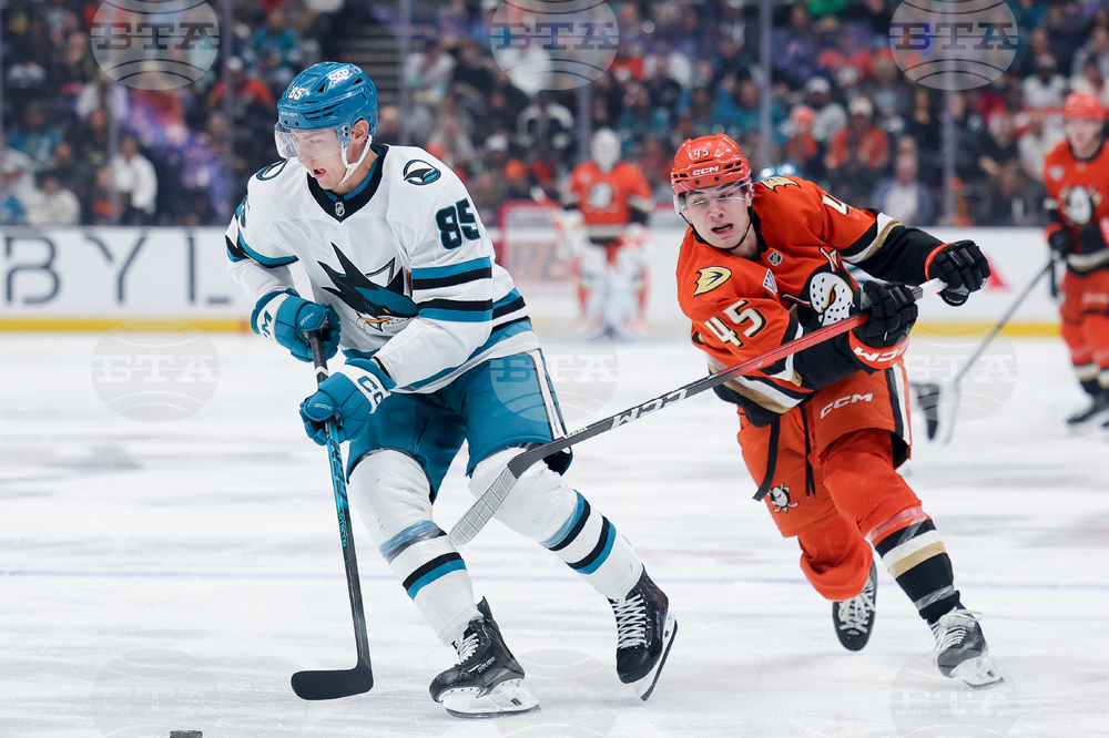 Sharks Ducks Hockey