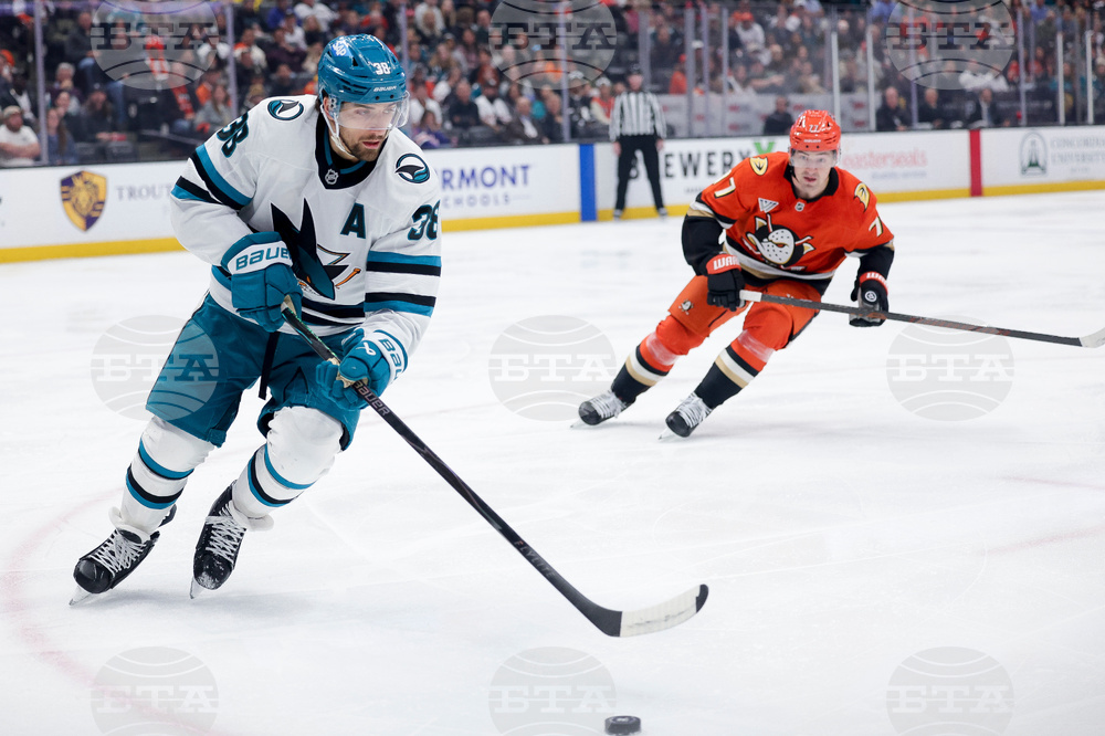 Sharks Ducks Hockey