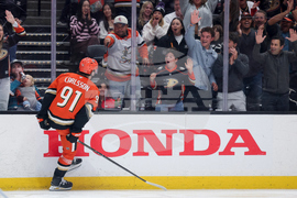 Sharks Ducks Hockey