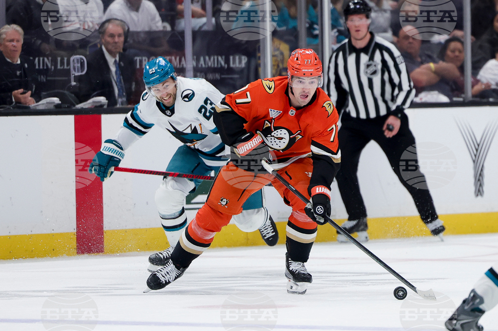 Sharks Ducks Hockey
