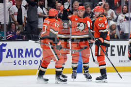 Sharks Ducks Hockey
