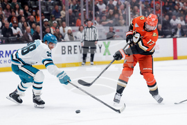 Sharks Ducks Hockey