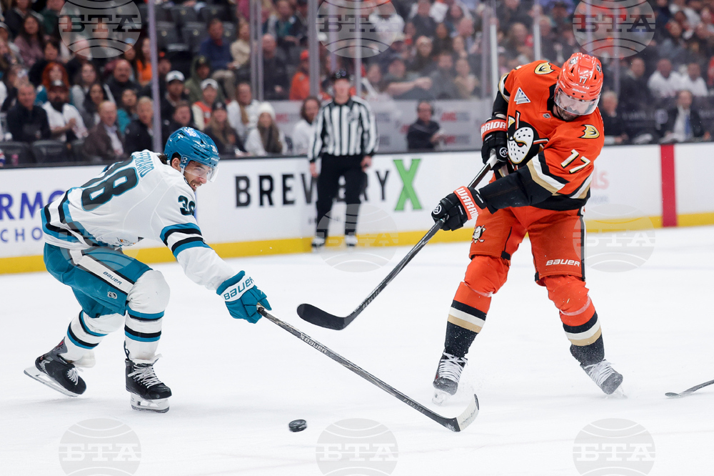 Sharks Ducks Hockey