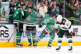 Wild Stars Hockey